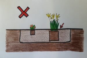 drawing depicting plants planted below the grade of the soil where soil will be covering the plants stems that should be above grade