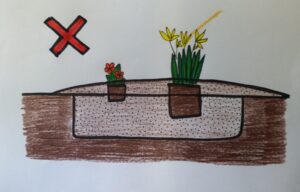 drawing depicting planting depth of flowers too deep with soil placed on top of the existing root of the plant ( stems buried ) even though the plant is in a mounded soil burm above the existing grade