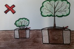 drawing depicting plants being planted too deep with soil on top of the root ball  from the container even though the plants rootball is above the level of the existing grade