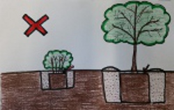 drawing of shrubs and trees being planted too deep with the root ball from the container underneath the existing grade of the landscape