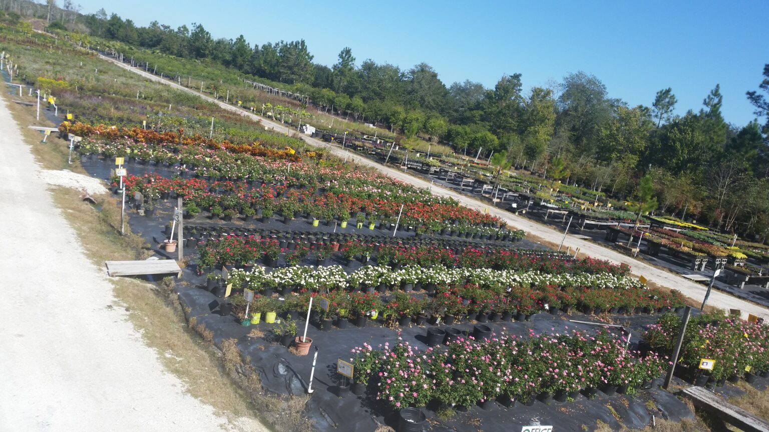 Northeast Florida S & J Tree Farm & Nursery
