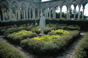 Schillings used as an edging plant in a formal garden setting around statues in the BahamasBahamas