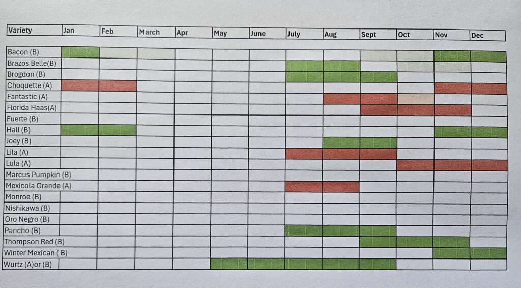 Avocado Harvesting Schedule by variety for Northeast Florida cold freeze tolerant avocado varieties